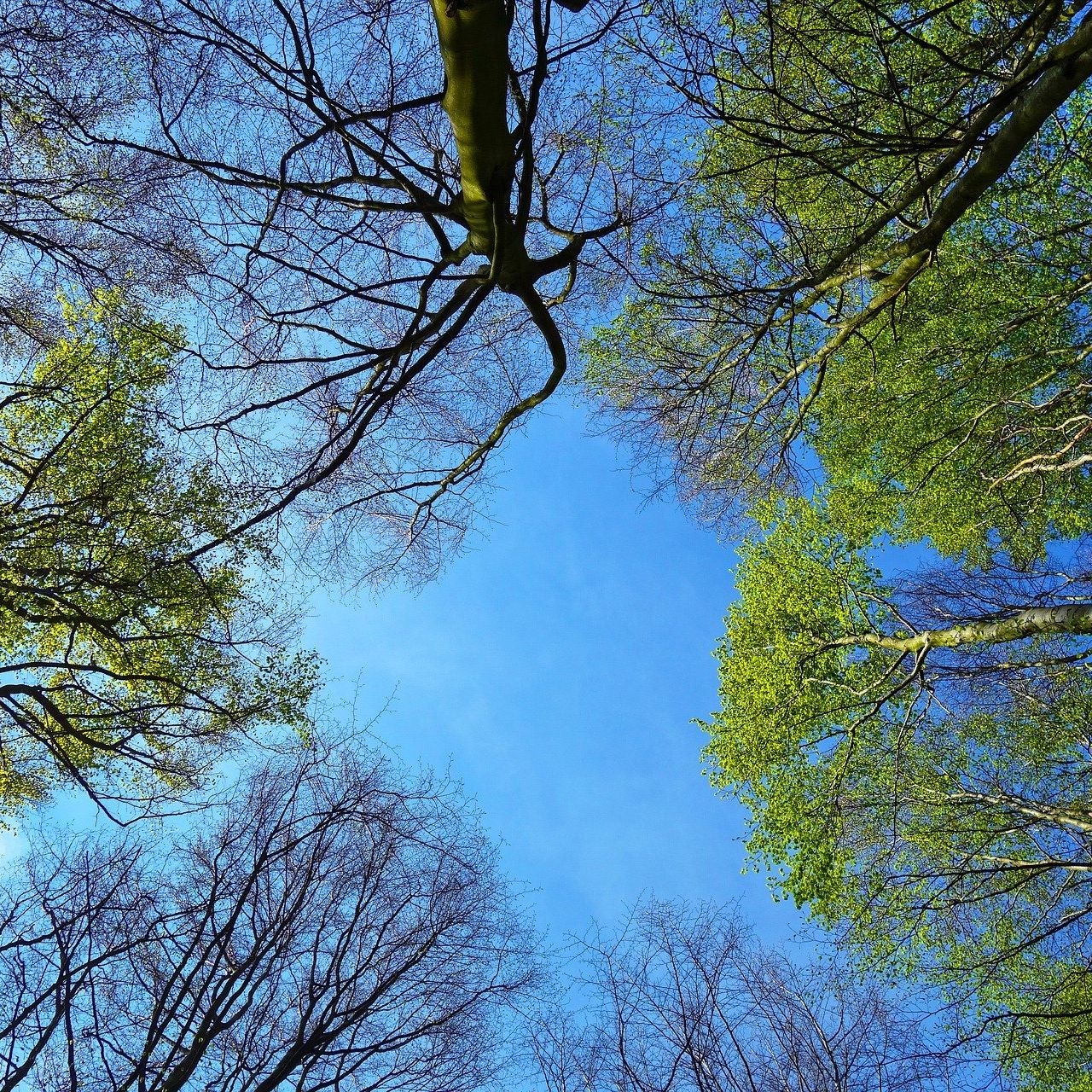Frau hält die Hände einer anderen Frau